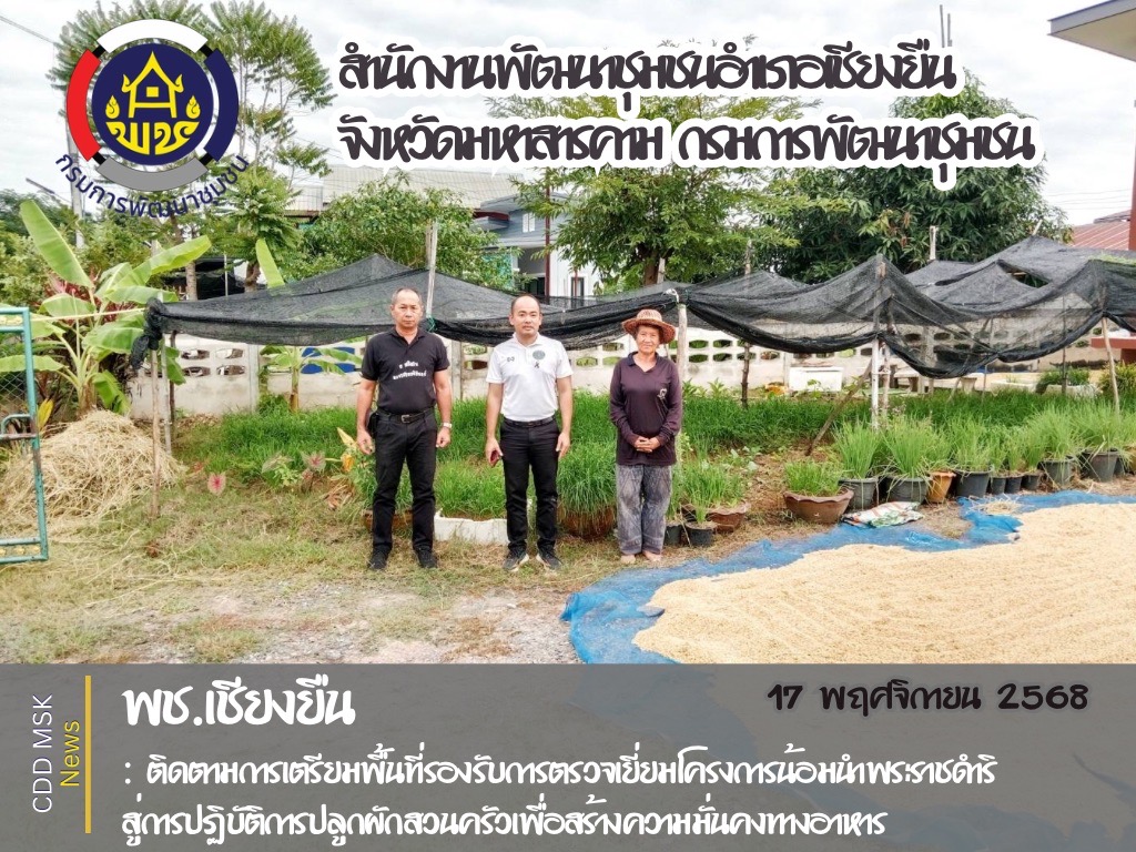 🎯🎯พช.เชียงยืน จังหวัดมหาสารคาม ลงพื้นที่ติดตามการเตรียมพื้นที่รองรับการตรวจเยี่ยมโครงการ การน้อมนำพระราชดำริ สู่ปฏิบัติการปลูกผักสวนครัว เพื่อสร้างความมั่นคงทางอาหาร ในพื้นที่ตำบลนาทอง 