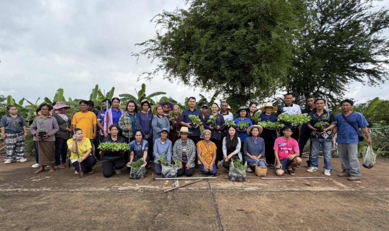 🎯🎯 พช.เชียงยืน จังหวัดมหาสารคาม🥬🥬ขับเคลื่อนปฏิบัติการ “Quick Win” 90 วัน ปลูกผักสวนครัวเพื่อสร้างความมั่นคงทางอาหาร สู้ภัยวิกฤตเศรษฐกิจ ด้วยวิถีพอเพียง
