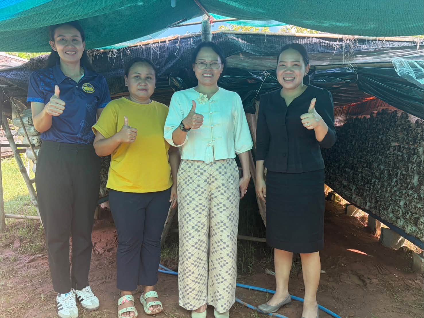 🎯🎯พช.เชียงยืน จังหวัดมหาสารคาม ลงพื้นที่ส่งเสริมกลุ่มเพาะเห็ดขอนดำ ต่อยอดอาชีพและพัฒนาศักยภาพชุมชน